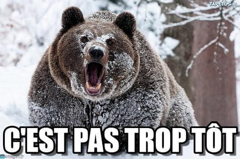 commande en retard Grizzly en colère